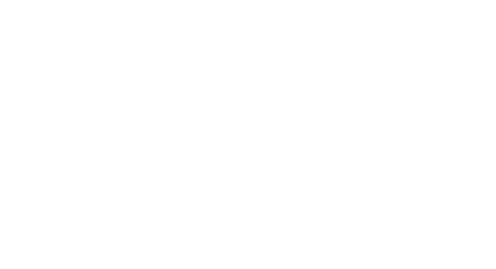 Schäfermeier Restaurierung
